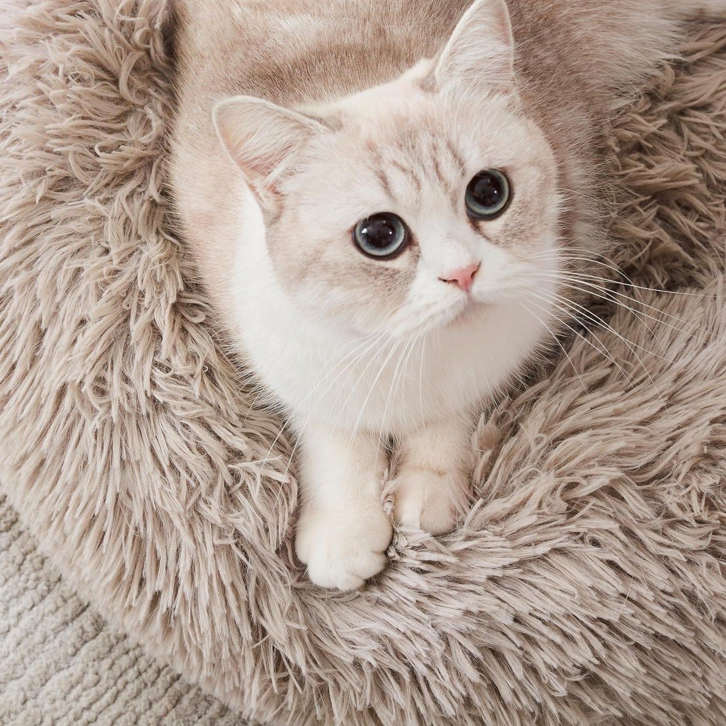 Luxury Calming Donut Pet Bed | Anti-Anxiety Faux Fur Plush Cushion for Dogs & Cats